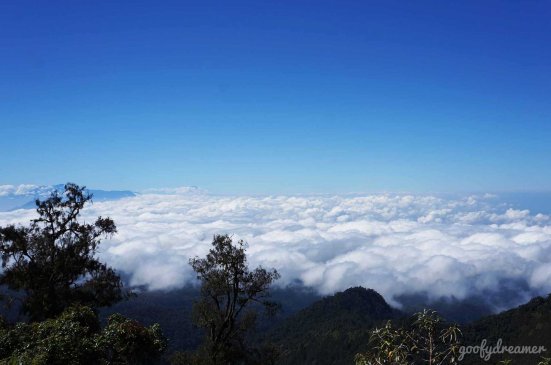 Wow we could see clouds! Amazing!