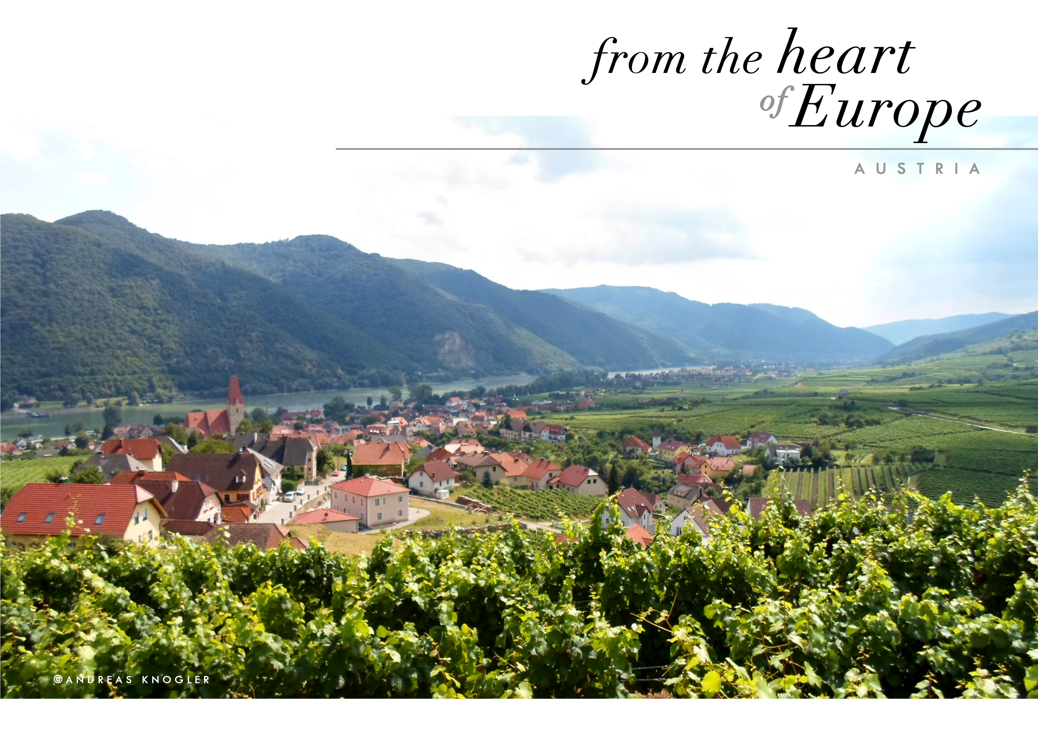 AndreasKnogler2