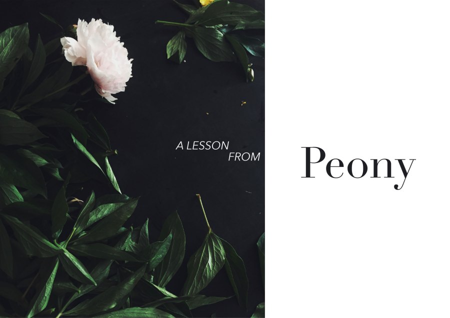 peony1